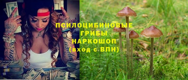 крисы Нязепетровск