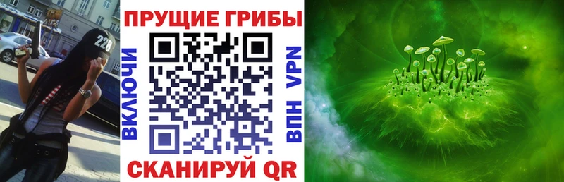 как найти закладки OMG ссылки Псилоцибиновые грибы Psilocybine cubensis Пучеж